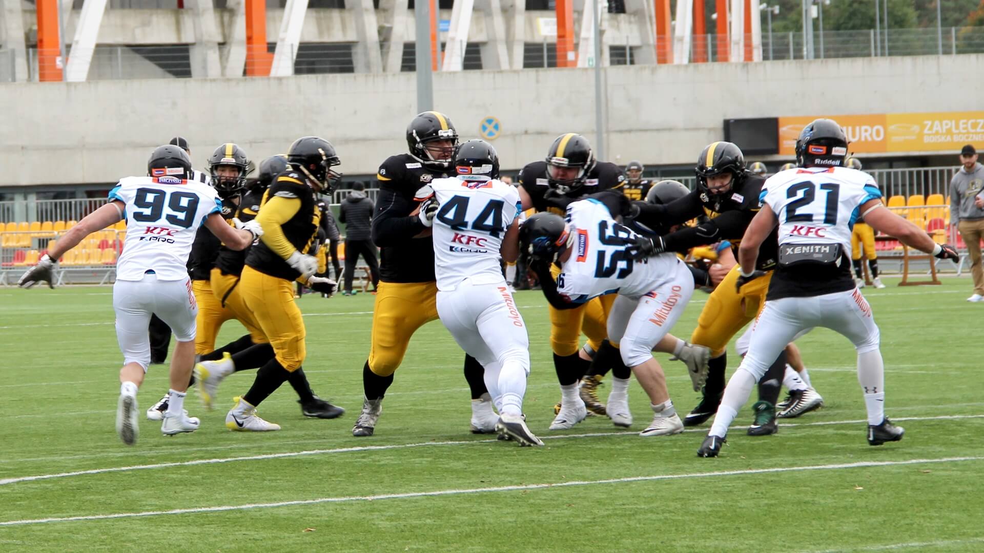 Lowlanders przed szansą zdobycia tytułu mistrzowskiego. Zmierzą się z Panthers Wrocław