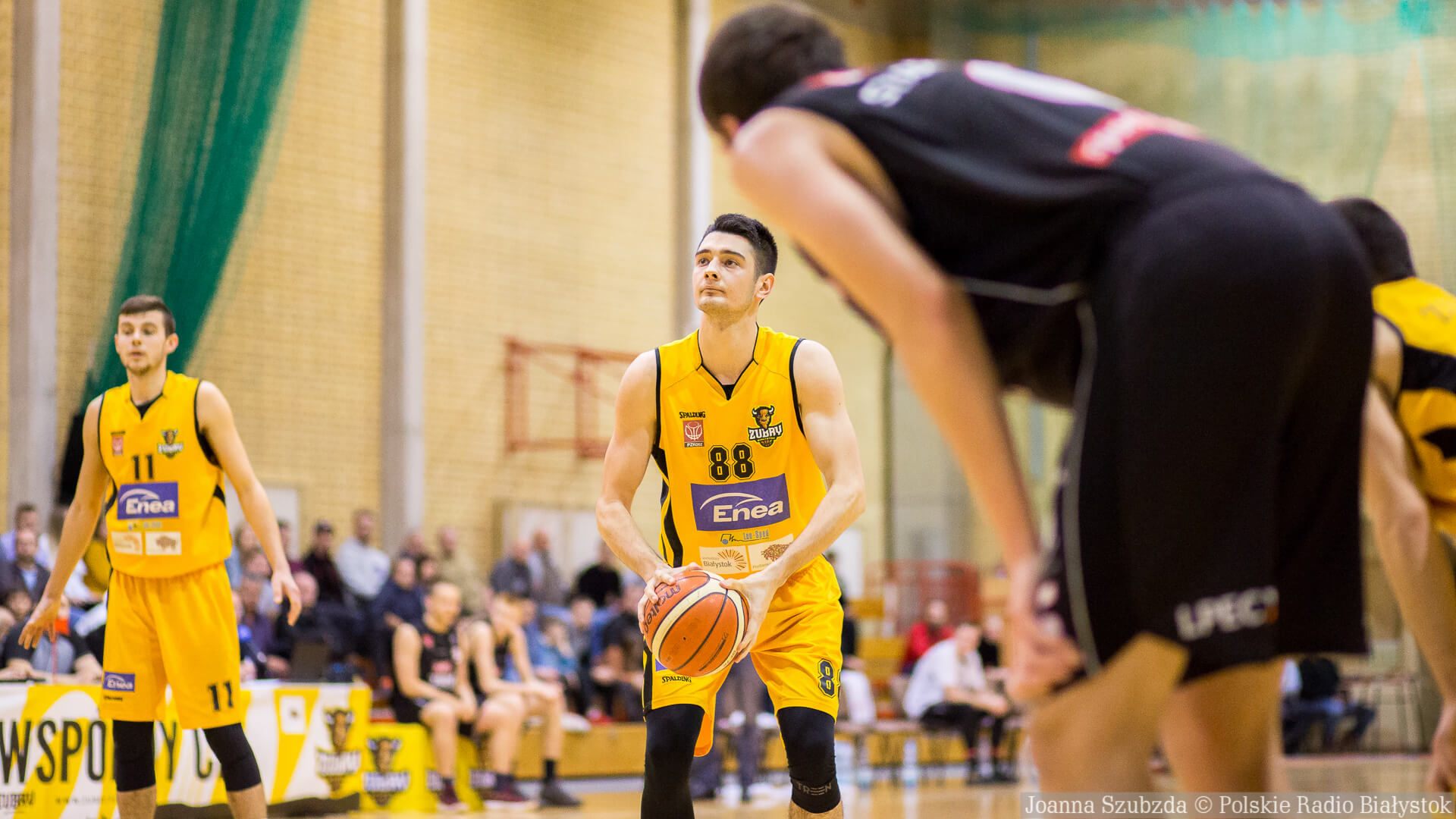 Żubry Białystok zmierzą się z Dzikami Warszawa - transmisja meczu na naszej antenie