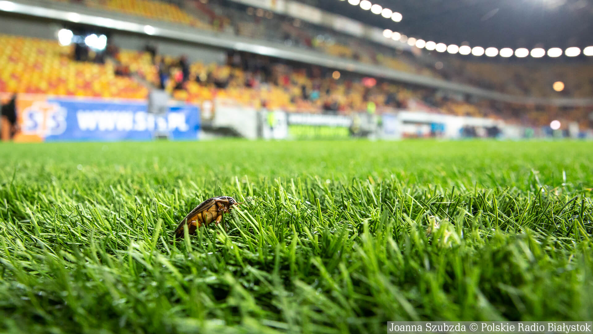 Dłużej poczekamy na powrót rozgrywek piłkarskich w Polsce - Ekstraklasa wydała komunikat