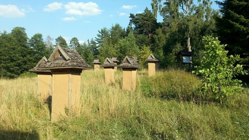 Region:  Wielki Dzień Pszczół w Wigierskim Parku Narodowym