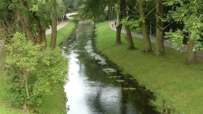 Pracownicy WIOŚ nie wykryli zanieczyszczeń w Czarnej Hańczy