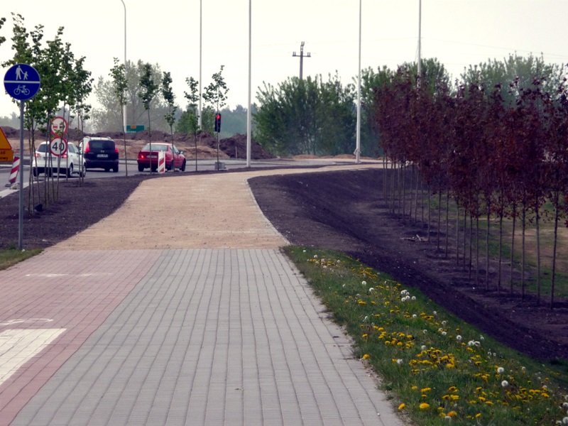 Rozpoczęła się wycinka drzew i krzewów przy ulicy Reja w Suwałkach - kierowców czekają utrudnienia