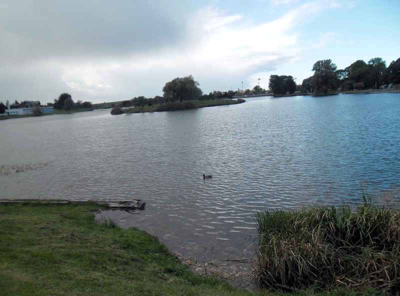 Tragedia nad Zalewem Arkadia – utonął 19-latek