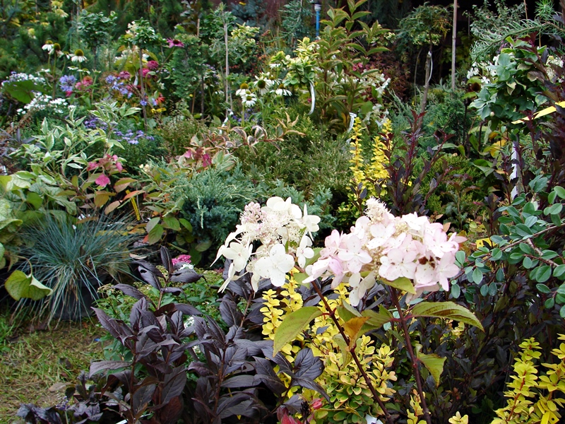 Targi ogrodnicze "Jesień w sadzie i ogrodzie" w Szepietowie