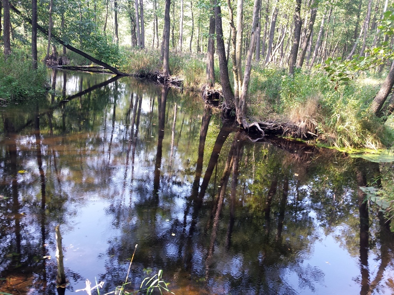 22-latek utonął w Czarnej Hańczy?