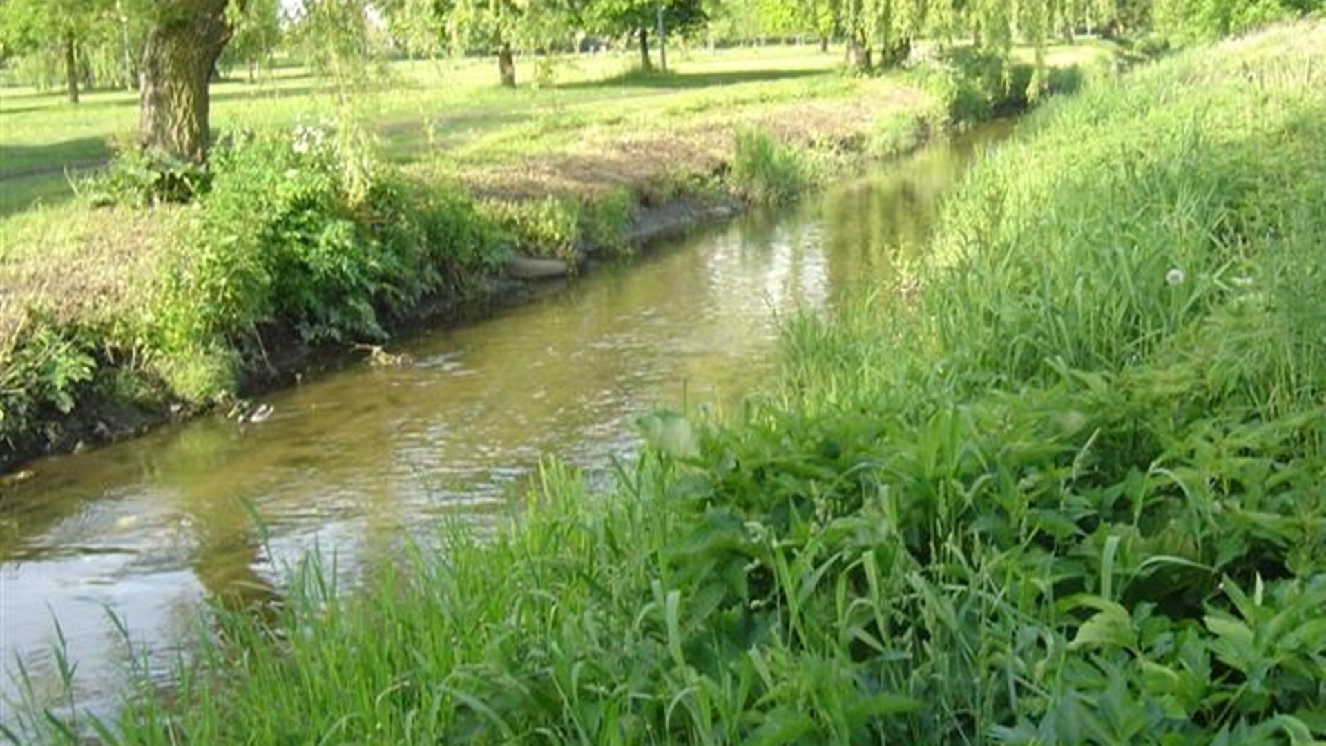 Gwałtownie wzrósł stan rzeki Białej płynącej przez Białystok