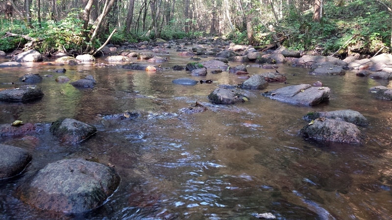 Suwałki:  Będzie Dzień Czarnej Hańczy