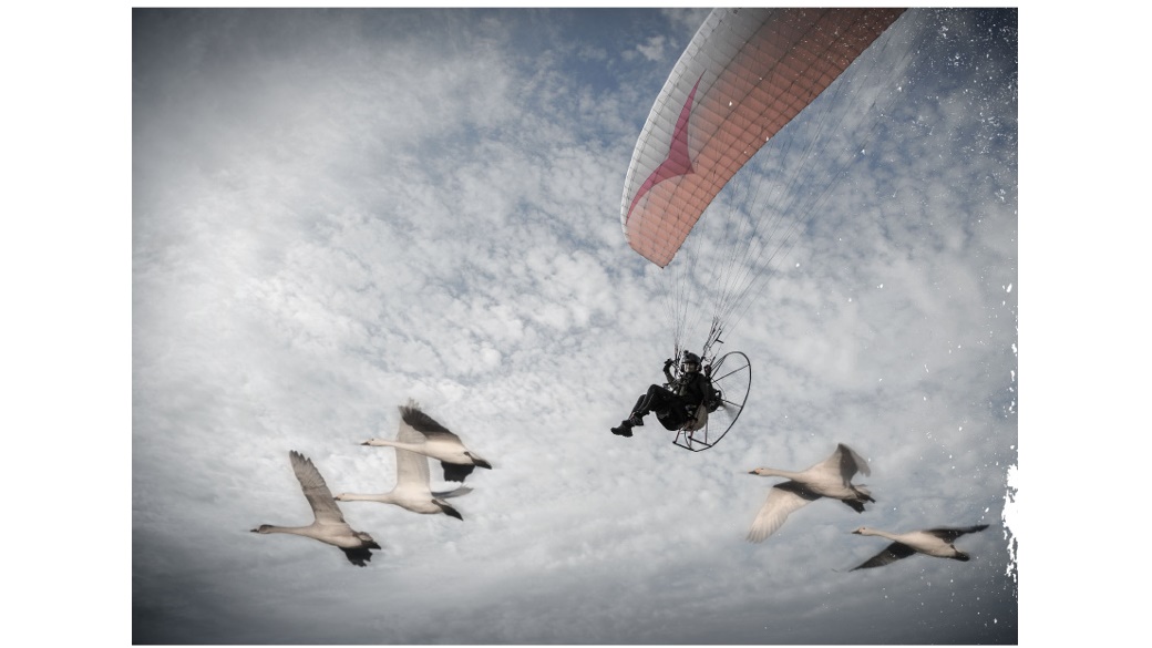 "Jak łabędzie. Opowieść o Saszy" - reportaż Anety Gałaburdy i Doroty Sokołowskiej