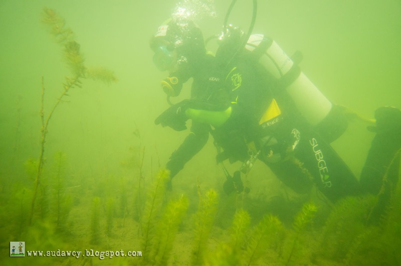 Odkrycia przyrodnicze w Wigierskim Parku Narodowym
