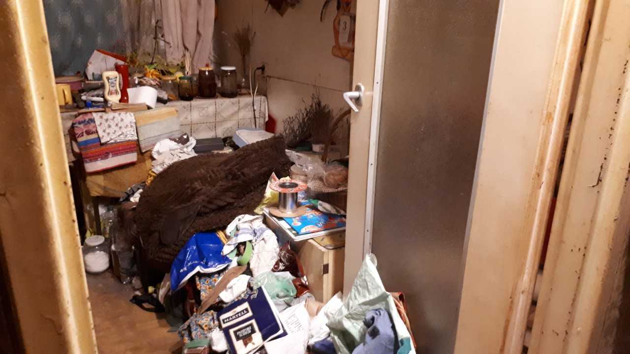 Pluskwy w pomieszczeniach - ten problem białostoczanie często zgłaszają do sanepidu