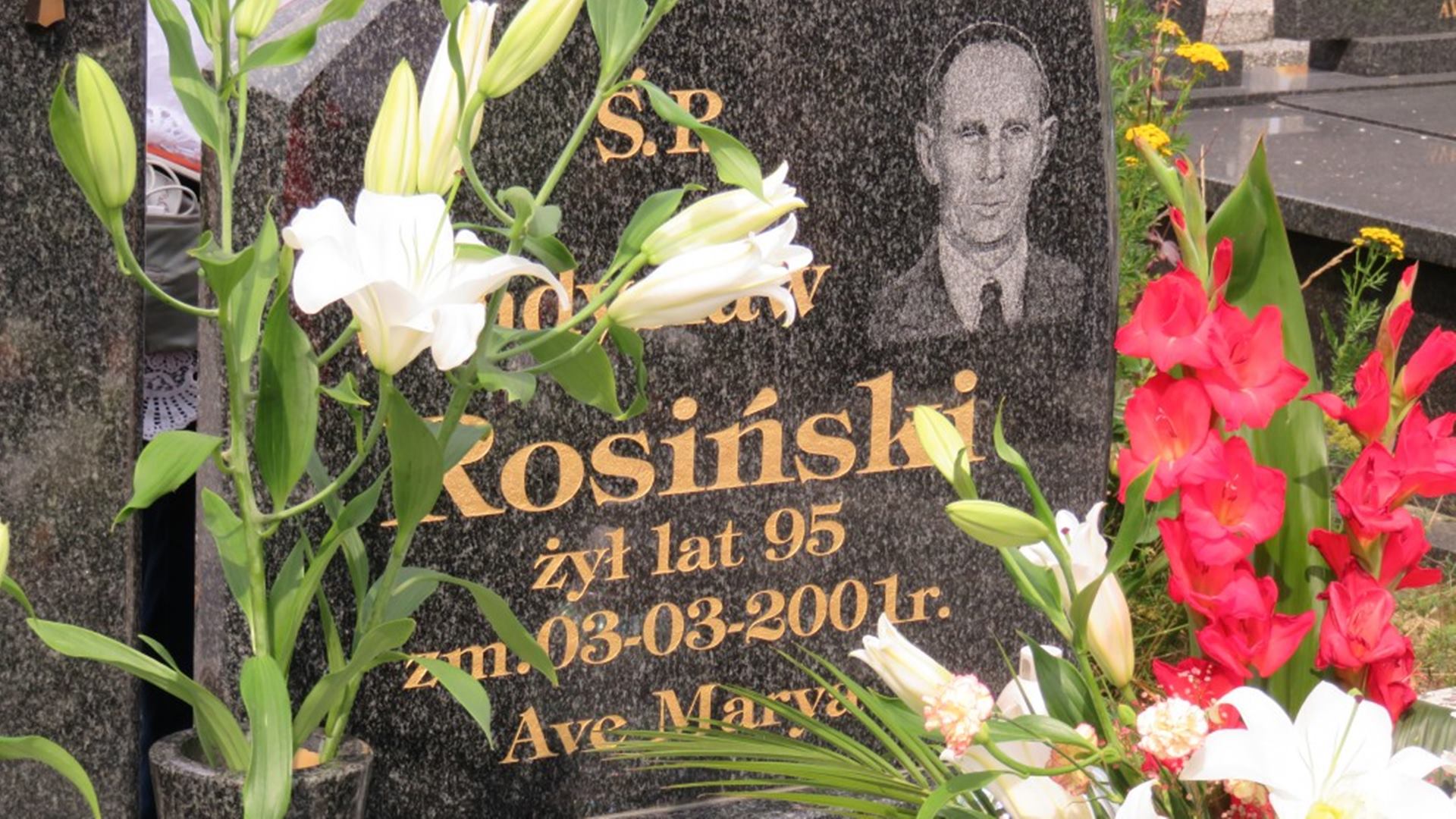 "Miasto aniołów" - reportaż Jana Smyka