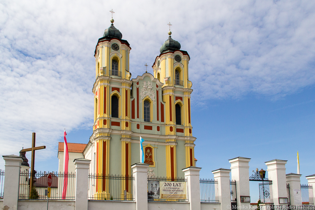 Obchody dwusetnej rocznicy powstania diecezji sejneńskiej