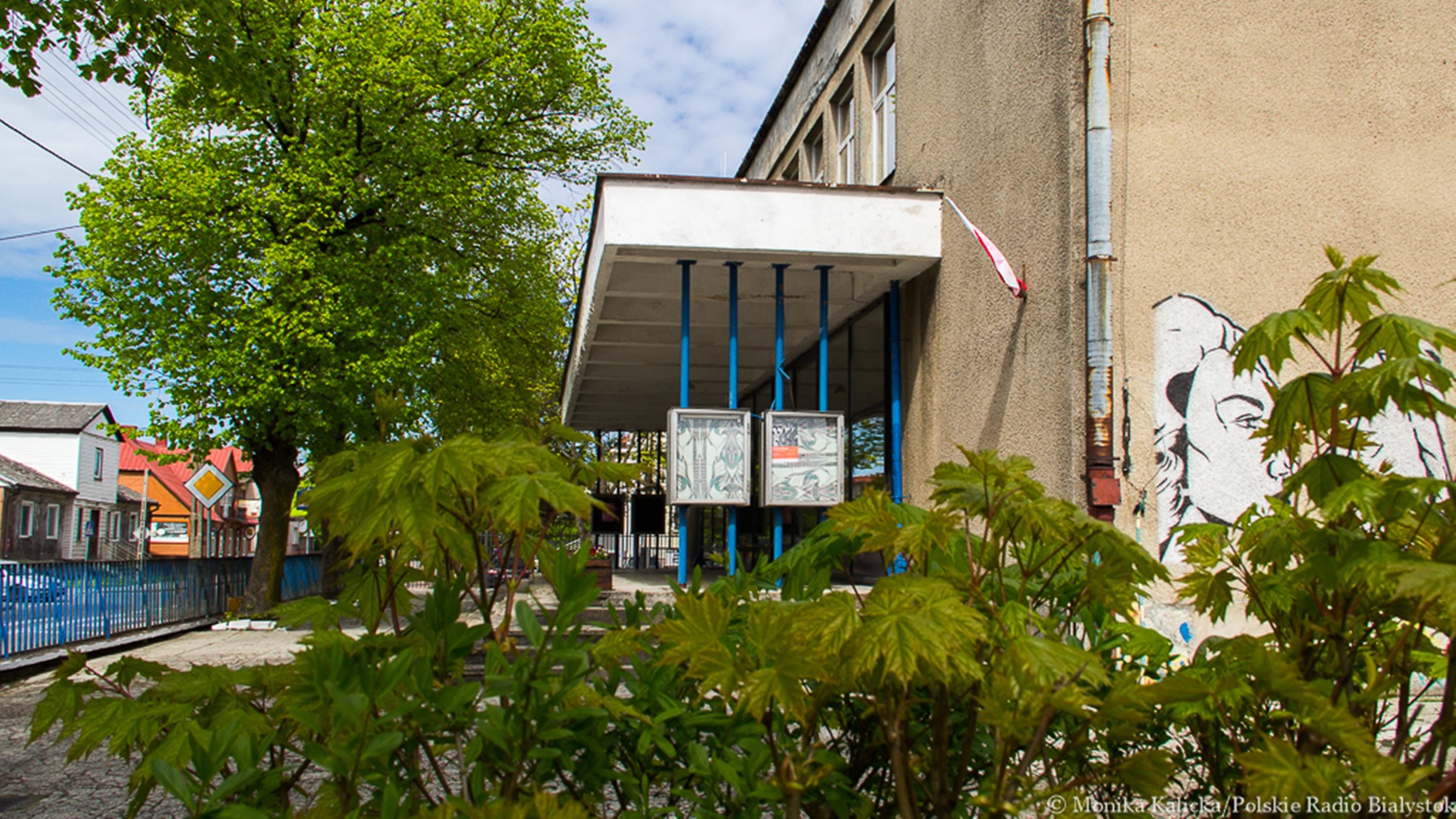 Kultura online - kino samochodowe, koncert kapeli DRAH, „Arka Noemi"