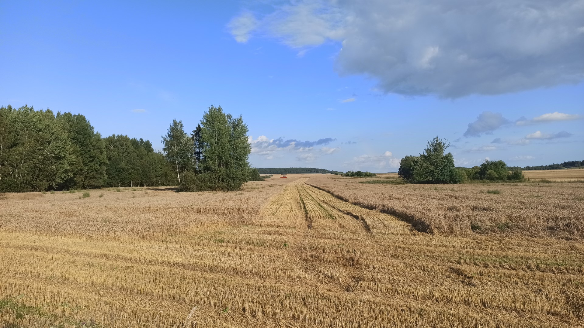 Na Podlasiu kończą się żniwa  28.07.2024