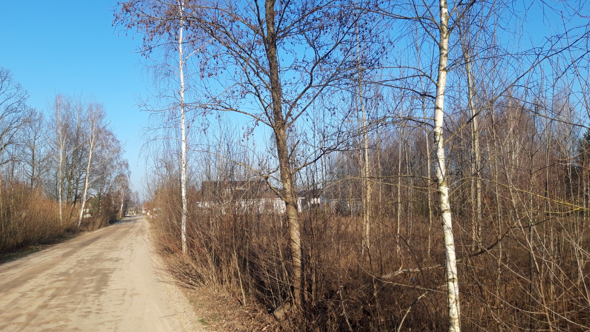 Protest przeciwko budowie południowej obwodnicy Bielska Podlaskiego 05.01.2020