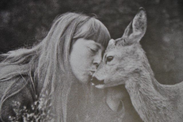 Portret prof. Simony Kossak