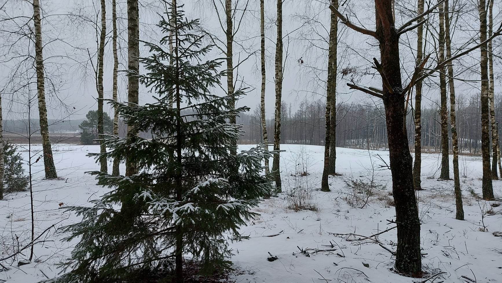 Hohotucha 14.01.2024