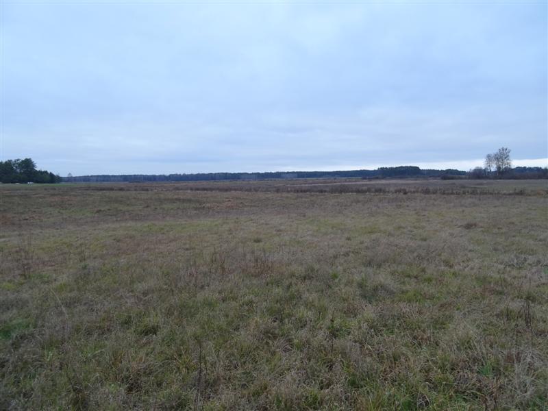 Kopalnia torfu między Gorodczynem i Klejnikami? 1.01.2020