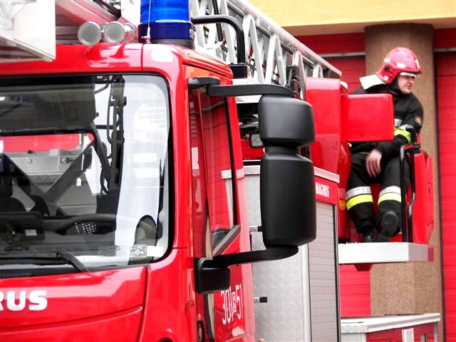 Suwałki:  Na ratunek sarnie