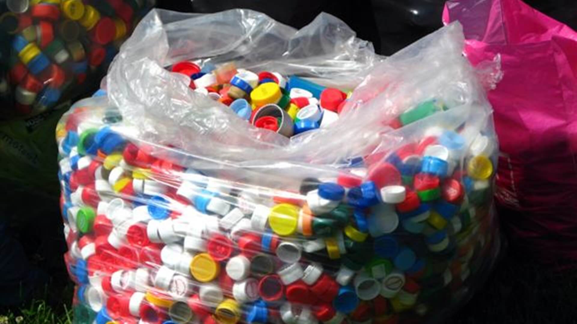 Uczniowie białostockich szkół zebrali kilkanaście ton nakrętek