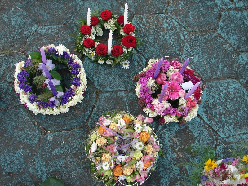 Region:  Noc Świętojańska w Suwalskim Parku Krajobrazowym