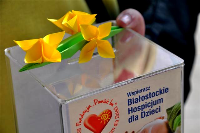 "Pola Nadziei" - żonkilowa pomoc dla hospicjum