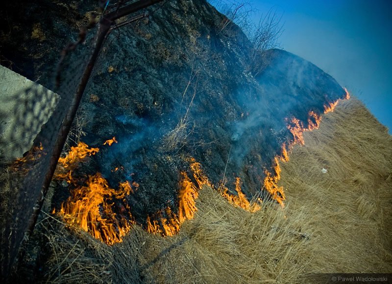 Region:  Pożar trzcinowisk Biebrzańskiego Parku Narodowego