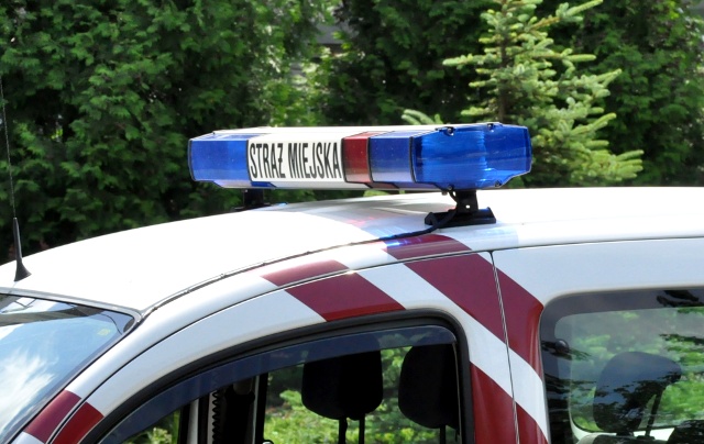 Straż Miejska w Łomży do likwidacji?