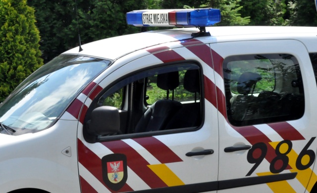 Kontrola pieców na posesjach - jakie uprawnienia ma straż miejska?