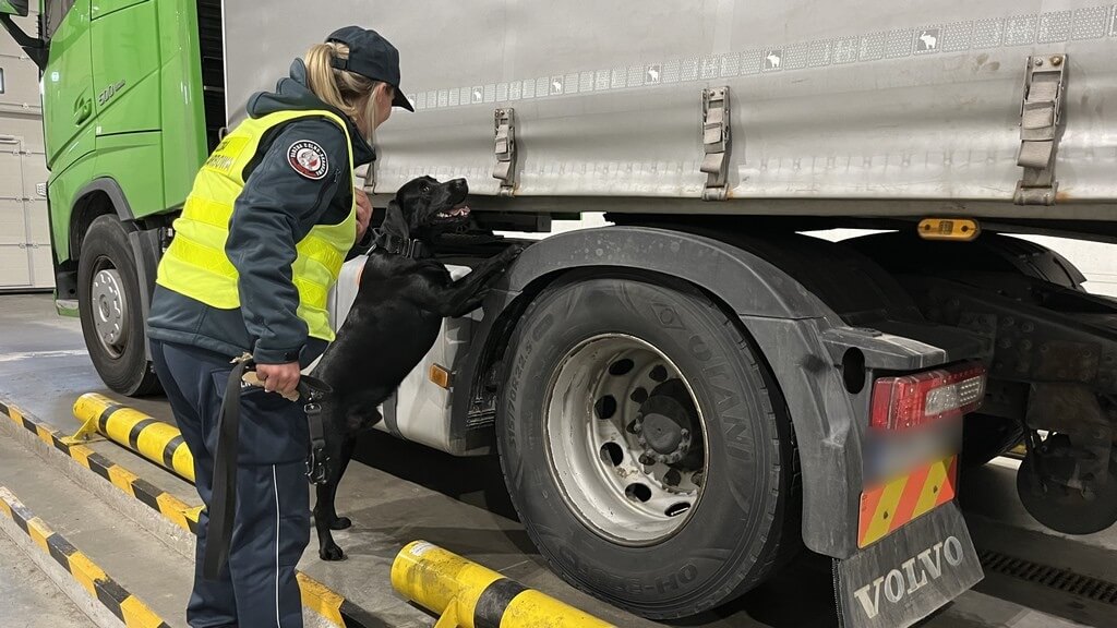Ponad pół miliona paczek papierosów próbował wwieźć do Polski kierowca estońskiej ciężarówki [zdjęcia, wideo]