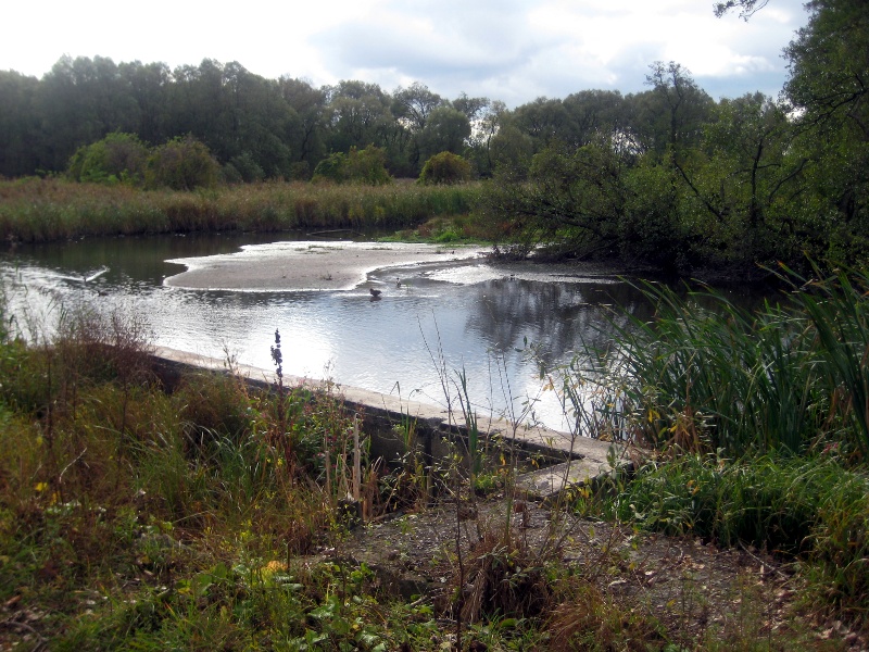 Białystok:  Teren wokół stawów przy Marczukowskiej będzie uporządkowany