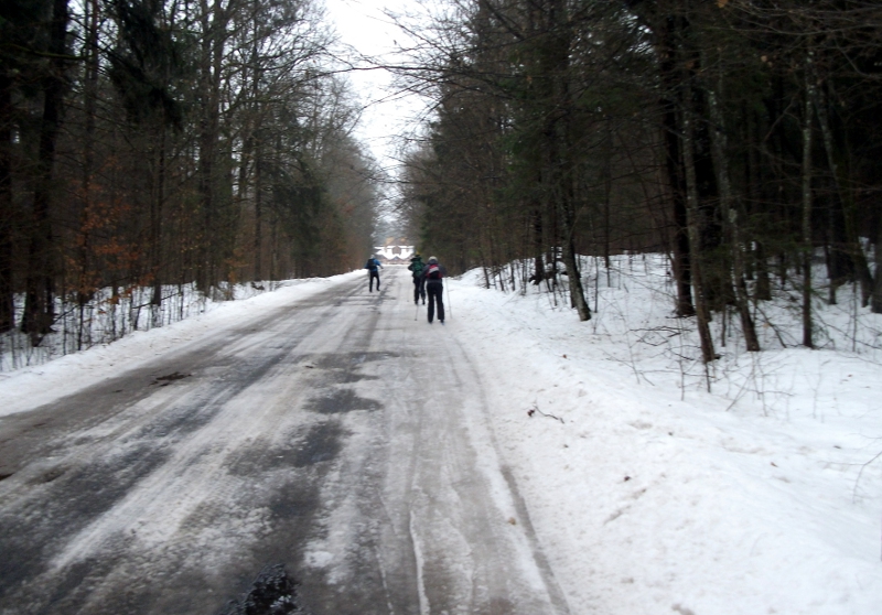 Zima w Puszczy Białowieskiej - czas kiedy stary las usypia