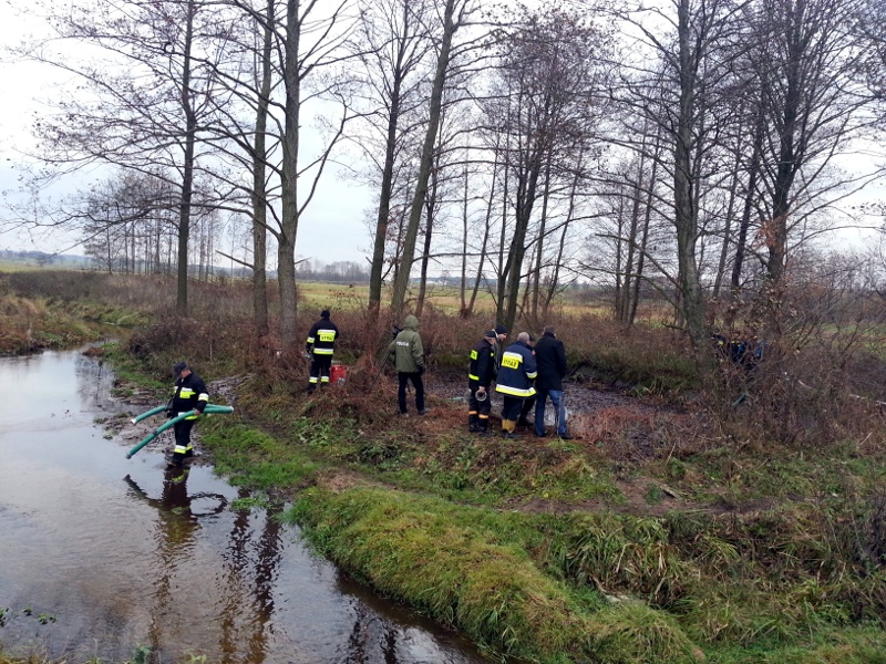 Śledztwo ws. zabójstw dzieci - koniec poszukiwań w stawie