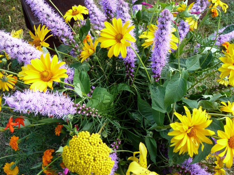 Z łąk prosto do kościoła - wierni święcą zioła, kwiaty i plony