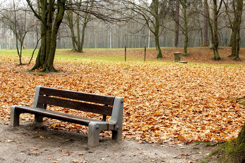 Przebudowa Parku Solidarności w Grajewie