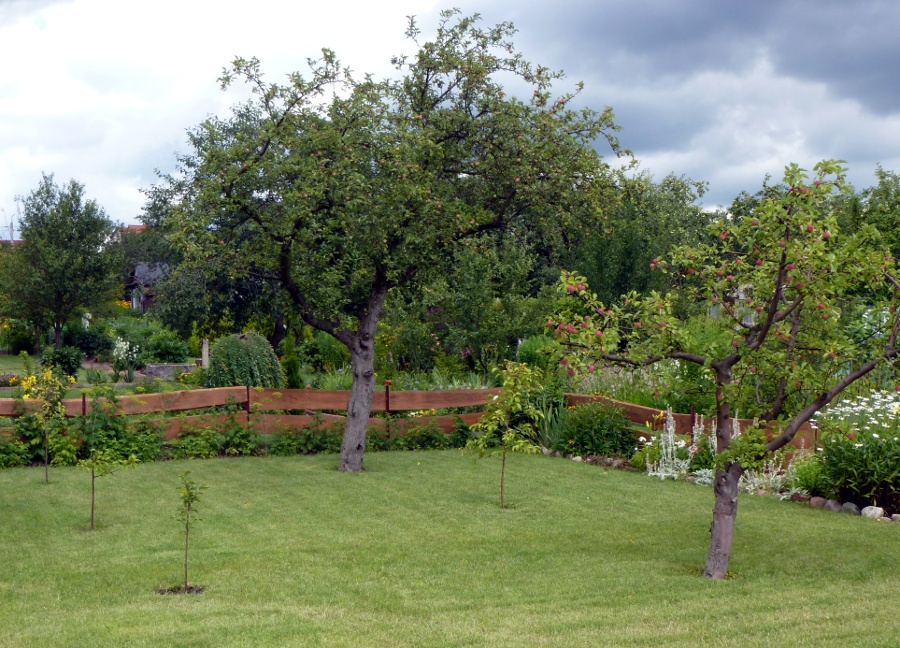 Białystok:  Święto działkowców