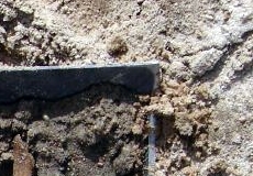 Region:  Badania archeologiczne w Zbuczu