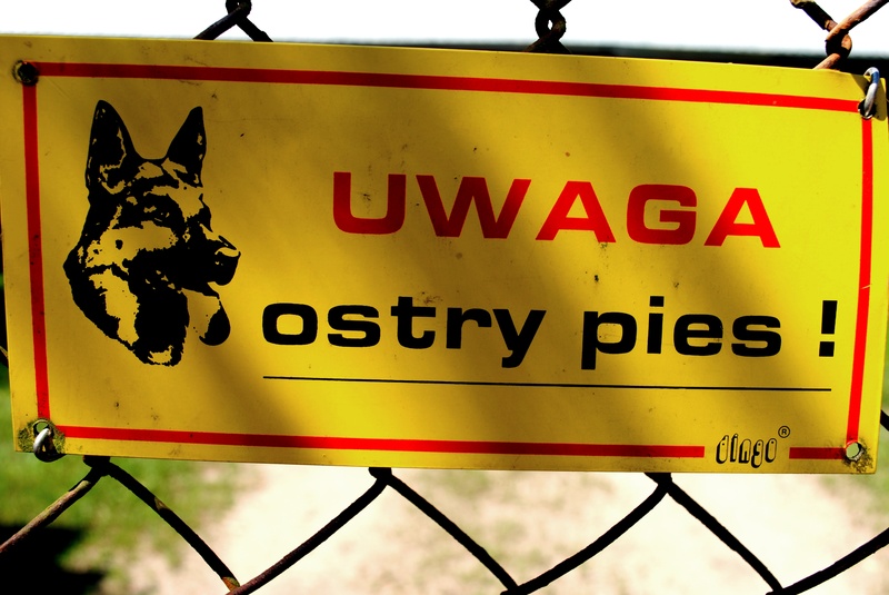 Region:  Problem łowczych z bezpańskimi psami