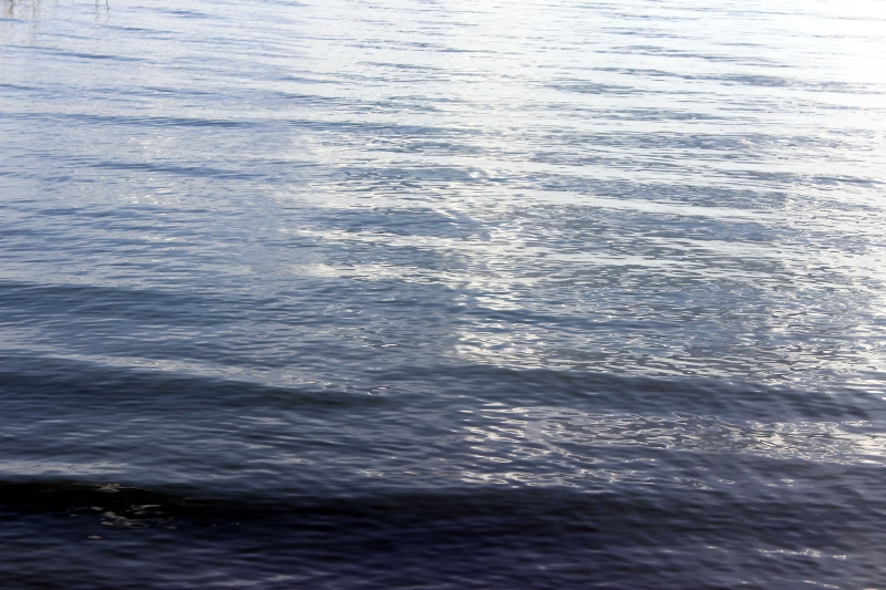 Sejny:  Wspólne sprzątanie Marychy