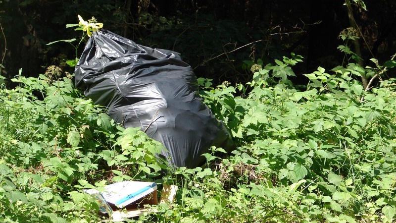 Sprzątanie Świata i Dzień bez Samochodu w Siemiatyczach