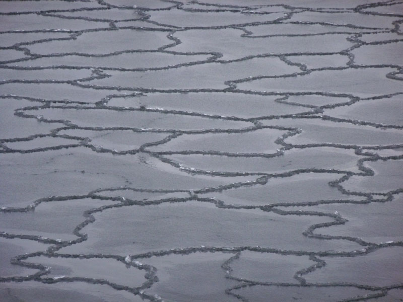 Region:  Pod 26-latkami załamał się lód. Jeden mężczyzna nie żyje