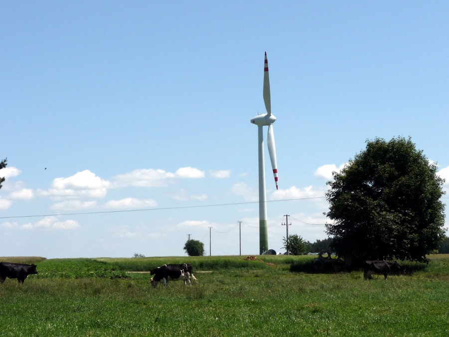 Suwalszczyzna:  Pozwolenie na budowę wiatraków wstrzymane