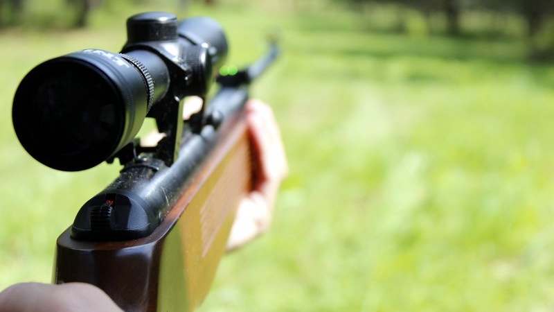 Sąd łowiecki skazał myśliwego za zastrzelenie dwóch łosi