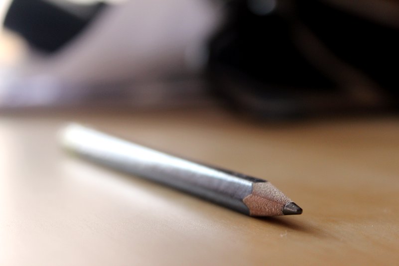 Próbny spis w Dubiczach Cerkiewnych 31.03.2020