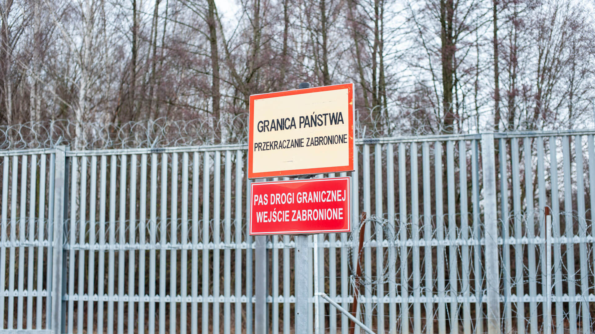 Blisko 30 tysięcy prób nielegalnego przekroczenia granicy odnotowała w ubiegłym roku Straż Graniczna w Podlaskiem