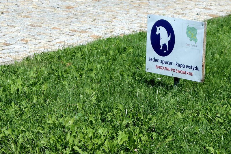 "Psi park" kością niezgody w Łomży