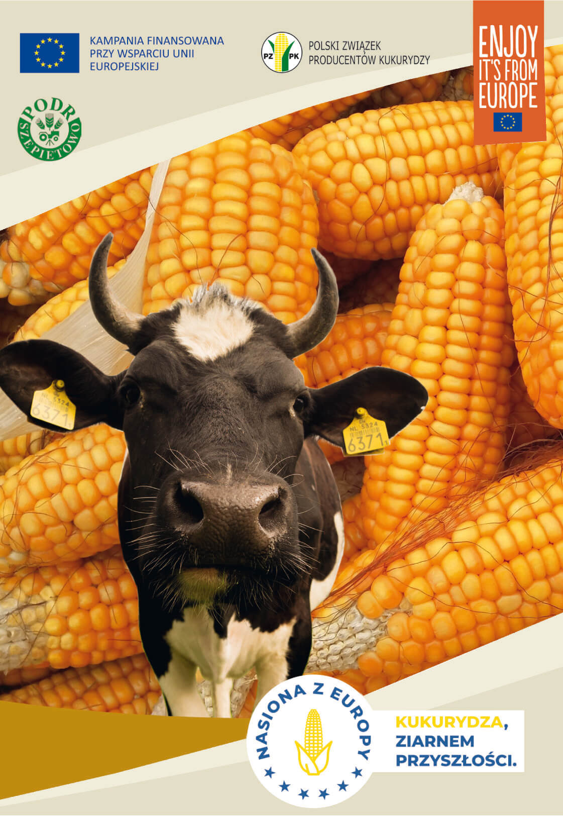 Konferencja "Kukurydza ziarnem przyszłości"