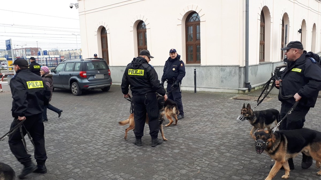 Musiały znaleźć bombę czy schwytać przestępcę – policja na białostockim dworcu PKP szkoliła swoje psy