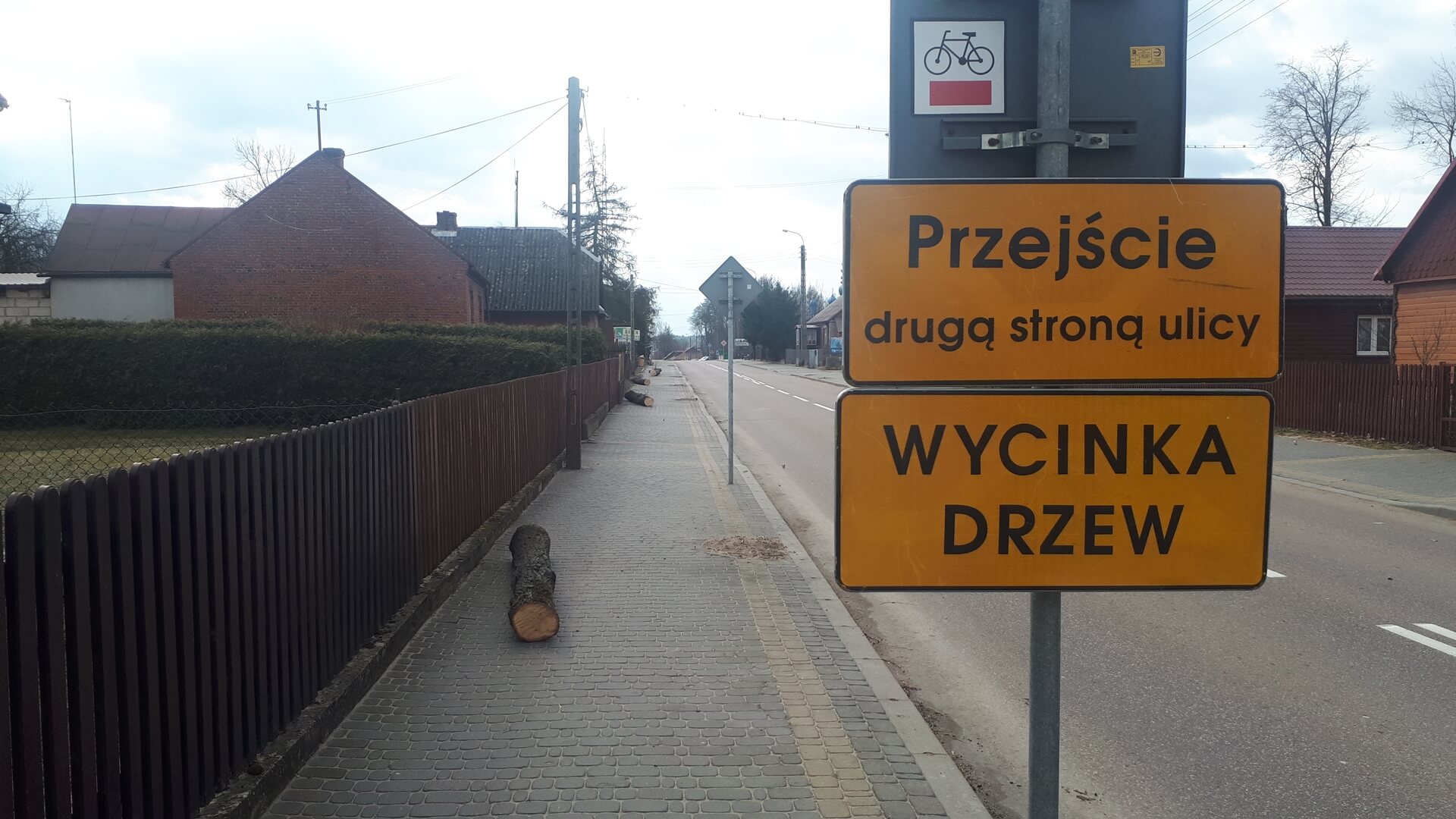 Kontrowersje wokół wycinki drzew przy modernizowanej drodze krajowej nr 66