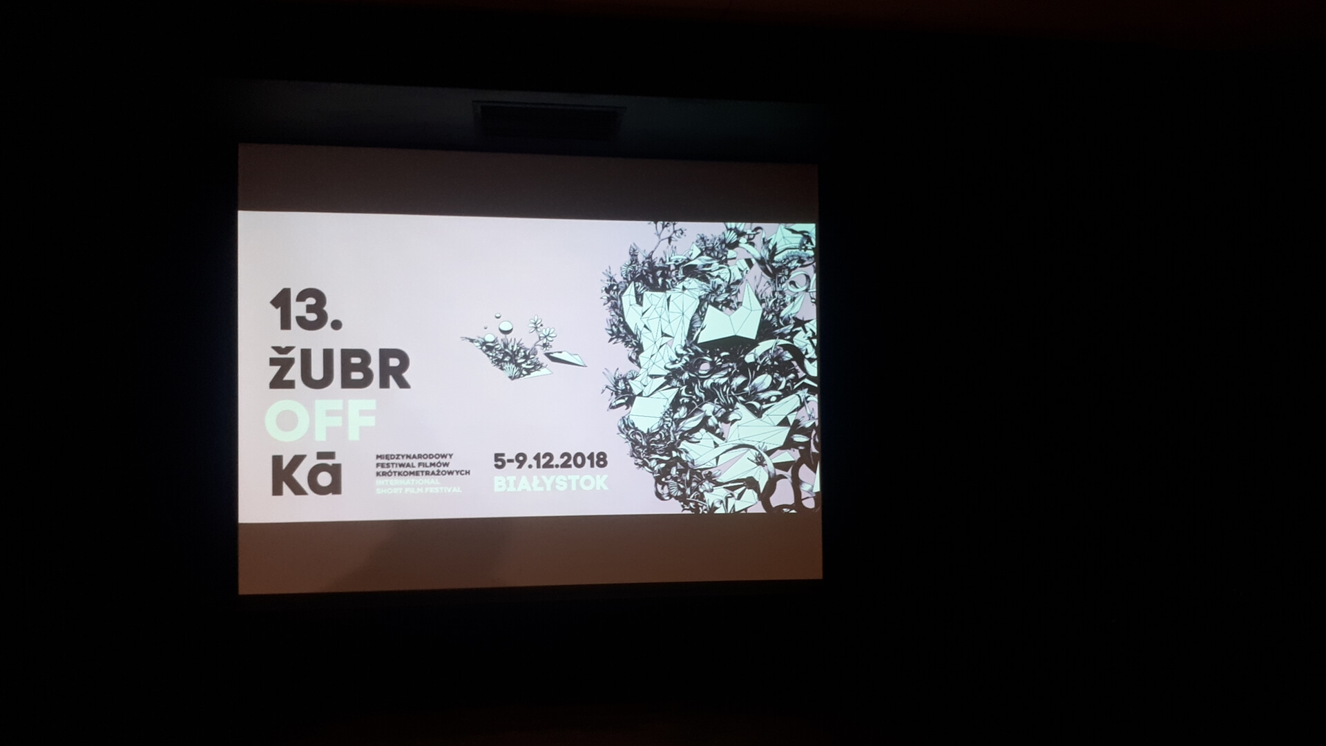 W Białymstoku dobiega końca Festiwal Żubroffka